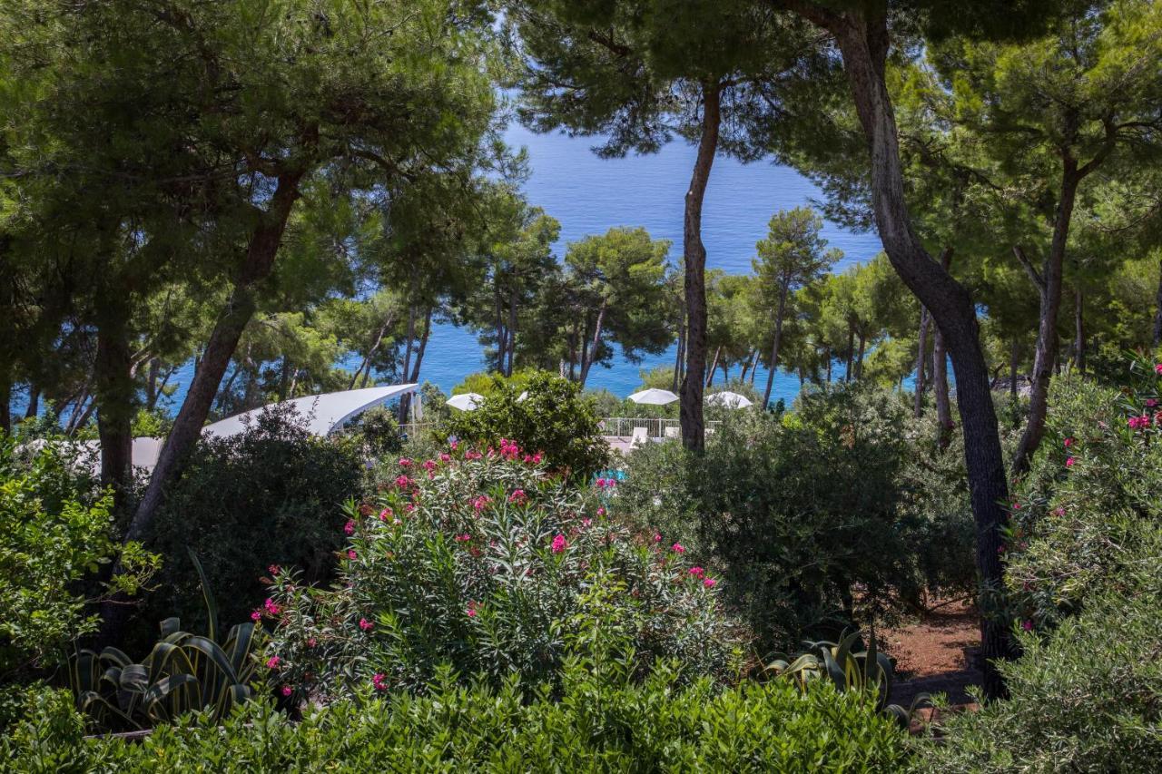 Hotel Villa Delle Meraviglie Maratea Exterior foto